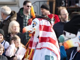 Allschwiler Fasnacht 26 - Andreas Lutz